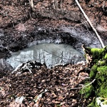 VIDEO I FOTOGRAFIJE s Plitvičkih jezera, koje plivaju i u izmetu, gdje dva novonastala sramotna jezera prijete ekocidom (foto: romeo ibrišević)