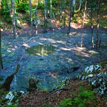 VIDEO I FOTOGRAFIJE s Plitvičkih jezera, koje plivaju i u izmetu, gdje dva novonastala sramotna jezera prijete ekocidom (foto: romeo ibrišević)