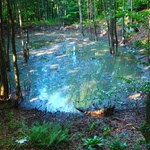 VIDEO I FOTOGRAFIJE s Plitvičkih jezera, koje plivaju i u izmetu, gdje dva novonastala sramotna jezera prijete ekocidom (foto: romeo ibrišević)