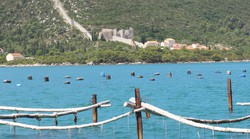 VIDEO: Školjkama iz Malog stona prijete školjke razlupanih auta, odbačena ulja i tekućine