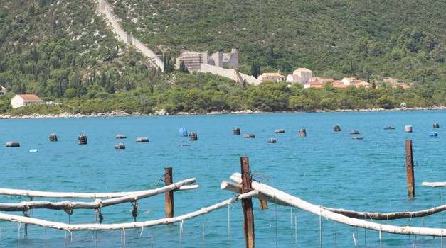 VIDEO: Školjkama iz Malog stona prijete školjke razlupanih auta, odbačena ulja i tekućine