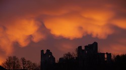 Aukcija fotografija Romea Ibriševića - sav prihod obitelji Šporec