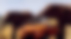 Citroën Méhari proslavio 50. rođendan