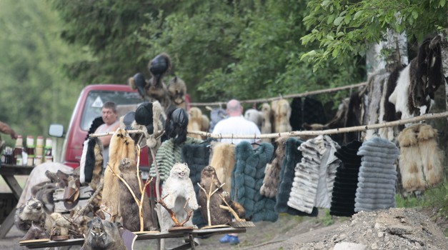 Na samo 200 km od Moskve lokalni seljaci uz cestu nude preparirane medvjede, vukove, jazavce, bunde, mast...