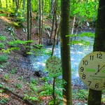 GROZNO: Plitvičko jezero koje pliva u fekalijama odgovorni su jučer ogradili žicom, mrežama, trakom koja upozorava na visoki napon te uklonili natpise ekologe o ekocidu (foto: romeo ibrišević)