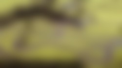 Ovo je kuća iz snova za ljubitelje automobila