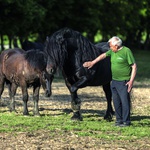 Ivan Enjingi: Uzdam se u se  i u najboljeg prijatelja Sokola i ne bi uspio da nisam nadničario za 3 kriške kruha (foto: Bojan Markičević Haron)