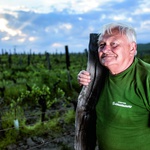 Ivan Enjingi: Uzdam se u se  i u najboljeg prijatelja Sokola i ne bi uspio da nisam nadničario za 3 kriške kruha (foto: Bojan Markičević Haron)