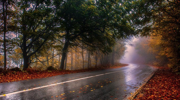 Mokro lišće na cesti opasno je kao i zimska poledica