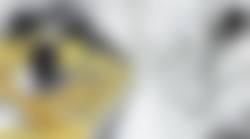 Njemački Startup najavljuje revolucionarne motore