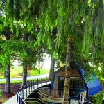 Čarolija kućica u susjedstvu kosova, češljugara, vrabaca... Tko od nas nije kao dijete želio prespavati u kućici na drvetu? Sad imate priliku i to u Hrvatskoj (foto: Romeo Ibrišević)