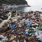 Englezi rade ono što Hrvati neće - čiste odvratno smeće s hrvatske obale  - uklonili tone otpada na Mljetu i za to dobili jedino 15 litara vina (foto: Romeo Ibrišević)