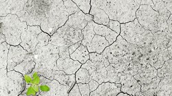 2019. najtoplija godina od početka mjerenja u Europi