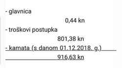 Kako od 0,44 lipe napraviti 1718 kuna, samo u Hrvatskoj moguće je tako brzo i efikasno oploditi kapital