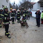 Ta divna stvorenja uz nas su u dobru i zlu! I u Petrinji su psi tragači spasili živote stradalnika u potresu, a Tomo Sukanić spasio je i obitelj, konja, psa, mačku... (foto: Pixell)