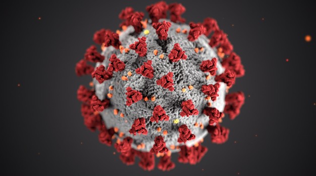 Otkriveno trajanje imunosti na koronavirus nakon zaraze