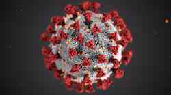 Otkriveno trajanje imunosti na koronavirus nakon zaraze