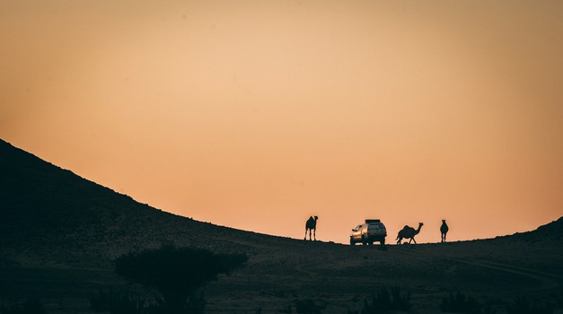 NAJ FOTO iz Saudijske Arabije i 4. najgledanijeg sportskog događaja na svijetu, legendarnog Rallyja Pariz - Dakar