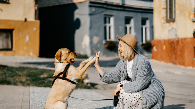 Ovo su astrološki znakovi kojima su životinje važnije nego ljudi: jeste li i vi među njima?