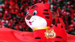 Tigar je zaštitini znak 4719. godine koju baš danas proslavljaju Kinezi. Čuvajte se brojeva 6 i 8 i grijte se energijom drva