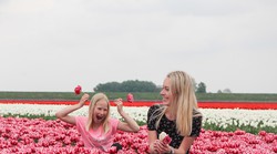 Kako brinuti o tulipanima da ne uvenu prebrzo i da danima budu svježi? Važni su voda i svjetlost, nikako se ne slažu s narcisama