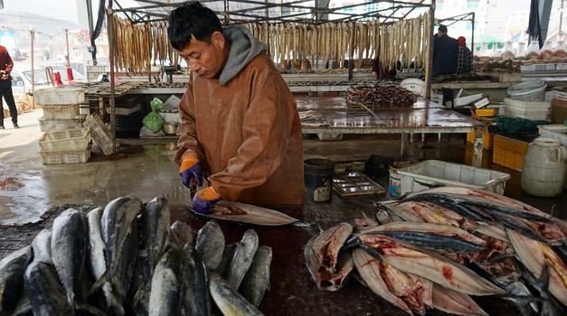 Testiraju ribe, ribare, životinje, čak i nilske konje iz ZOO-a! Zbog novog covida Kinezi načisto "poludili"!