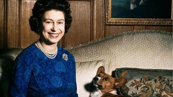 Elizabeta II., koja je u svojoj 70-godišnjoj vladavini obilježila svijet i osvojila srca ljudi diljem kugle zemaljske, unatoč skandalima, zauvijek nas je napustila upisavši se u povijest