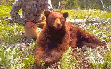Poznati sportaš razljutio obožavatelje: Ubio medvjeda u lovu i ponosno pozirao pored trupla (FOTO)
