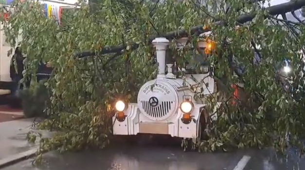VIDEO: Stablo se srušilo na turistički vlakić na Bledu u vožnji gradom (u njemu je tada bilo nekoliko putnika)