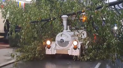 VIDEO: Stablo se srušilo na turistički vlakić na Bledu u vožnji gradom (u njemu je tada bilo nekoliko putnika)