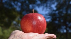 Ono što Amerikanci ne mogu, Kinezi mogu!!! Borba između Xiaomija i Applea preselila se i u automobilsku industriju, ali je završila prije nego što je i počela