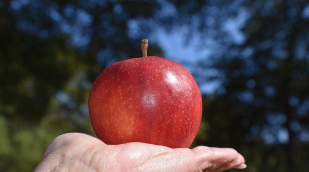 Ono što Amerikanci ne mogu, Kinezi mogu!!! Borba između Xiaomija i Applea preselila se i u automobilsku industriju, ali je završila prije nego što je i počela