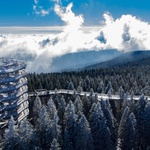 Tko ju tako "ukrašenu" ne bi volio! Na samo 2 sata od Zagreba! Slovenija je puna prekrasnih panorama, znate li ovu? (Turisti tamo dolaze i zbog nje) (foto: Pot med krošnjami)