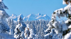 Tko ju tako "ukrašenu" ne bi volio! Na samo 2 sata od Zagreba! Slovenija je puna prekrasnih panorama, znate li ovu? (Turisti tamo dolaze i zbog nje)