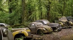 U šumi propada zbirka kultnih automobila vrijedna više milijuna dolara. I to namjerno... Zapanjujući razlog zašto