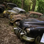 U šumi propada zbirka kultnih automobila vrijedna više milijuna dolara. I to namjerno... Zapanjujući razlog zašto (foto: YouTube/Broken Window Theory)