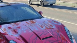 Propeti konjić uvijek izazova pažnju, a ovaj vandaliziran i prošaran uvredljivim imenicama i dodatnu. Bacali su i jaja na njega, mokrili po njemu, ispisivali vulgarne uvrede...