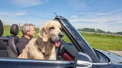 Ako se veselite odmoru, priuštite i svom najboljem prijatelju isto