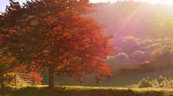 Sunčani dani se nastavljaju, učinak na dobre vibracije i zdravlje se poboljšava