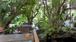 Je li ovo najljepši bar na svijetu? Jezero, mali vodopadi, papige i terasa kao iz bajke (znamo gdje je naći)