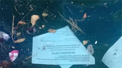 Skandal na Braču: Listići uoči drugog kruga izbora završili u moru (FOTO)