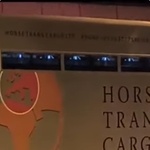 USKOK steže obruč oko KONJOKRADICA S HIPODROMA! Opet upleteni Tomašević, Korlaet & Co.! 45 konja pod okriljem mraka utrpano u dva šlepera stranih registarskih oznaka (foto: Josip Juretić / screenshot / youtube)