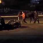 Kostino priznanje i vraćeni konji: kako se raspada Tomaševićev mit o poštenju - lagali su 30 mjeseci, a sad ih u duboko blato uvlače njihovi pravnici, direktori i veterinari (foto: Josip Juretić / screenshot / youtube)