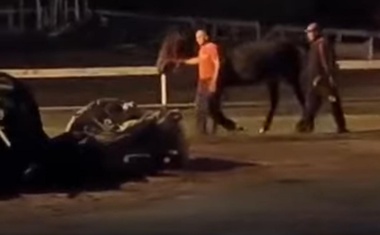 Tomašević godinama podržavao lopova! Kosta ide u zatvor, vraća 450.000 ukradenih eura, a Gradonačelnik u nevjerici otkazuje sraz s novinarima