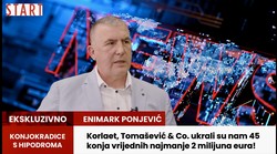 - "Tomaševiću zašto mi ne vratiš otete konje već godinu dana! Ti si KONJOKRADICA koja je prekršila sve moguće veterinarske i vlasničke zakone koji vrijede u Hrvatskoj i EU!