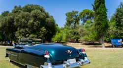 Možete se provozati Titovim legendarnim Cadillacom na Brijunima, ali cijena polusatne vožnje ostavit će vas bez teksta