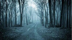 Kuna se ponovo vratila! Kamera je noću u šumi snimila zvijer za koju se smatralo da je izumrla još prije 100 godina.