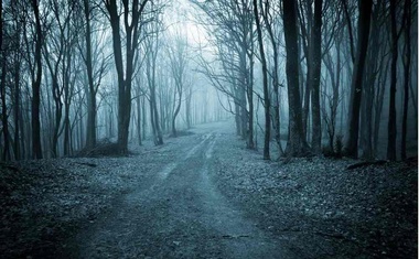 Kuna se ponovo vratila! Kamera je noću u šumi snimila zvijer za koju se smatralo da je izumrla još prije 100 godina.