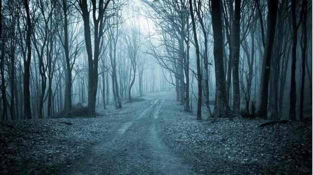 Kuna se ponovo vratila! Kamera je noću u šumi snimila zvijer za koju se smatralo da je izumrla još prije 100 godina.