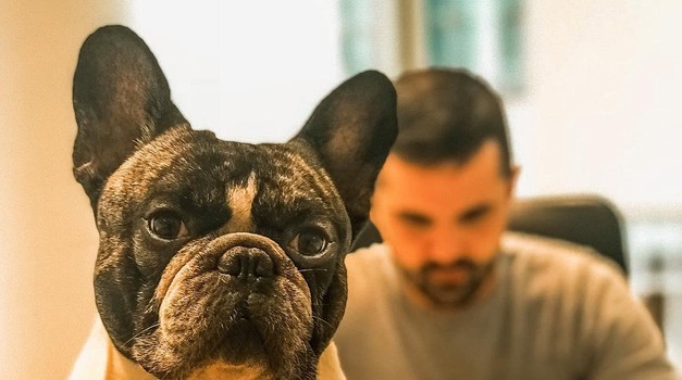 Što znači kada vas pas poliže: Neki ljudi misle da je to poljubac odanosti i vjete, ali istina je...